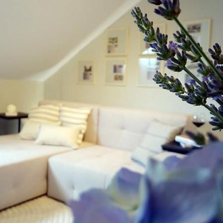 זאגרב Petite Grey Apartment With Free Private Parking מראה חיצוני תמונה