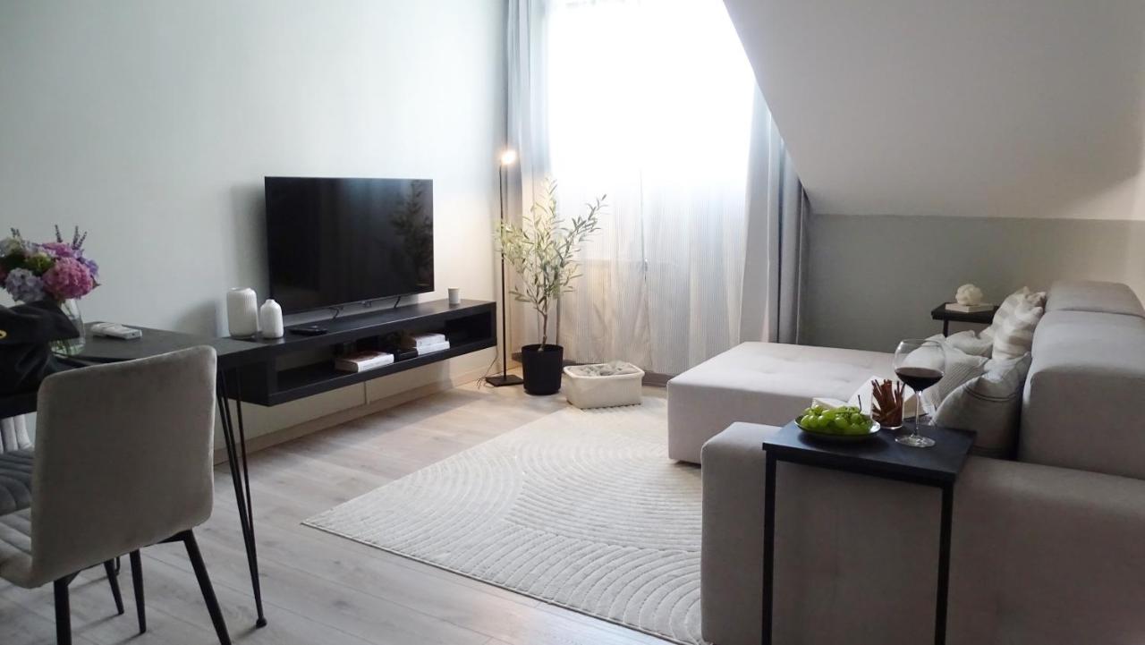 זאגרב Petite Grey Apartment With Free Private Parking מראה חיצוני תמונה