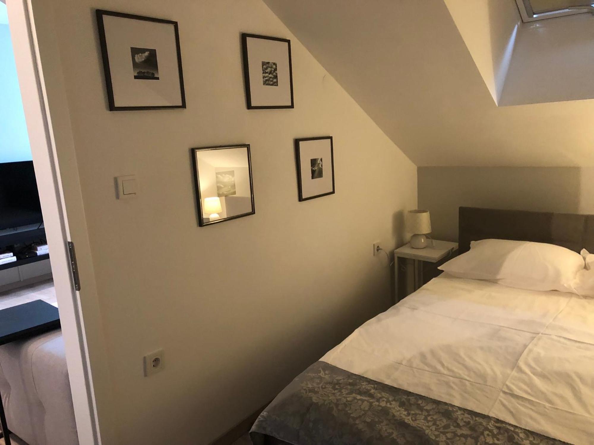 זאגרב Petite Grey Apartment With Free Private Parking מראה חיצוני תמונה